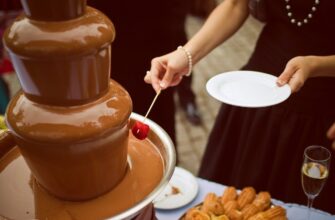 Шоколадный фонтан — что это и как им пользоваться, Топ-5 популярных моделей шоколадных фонтанов